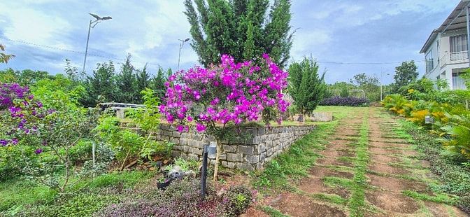 chính chủ cần bán gấp 6.000m2, khu du lịch sinh thái