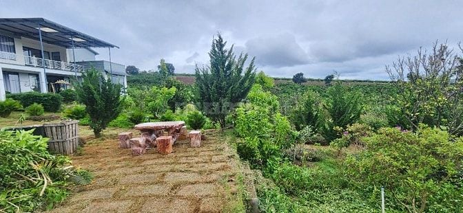 chính chủ cần bán gấp 6.000m2, khu du lịch sinh thái