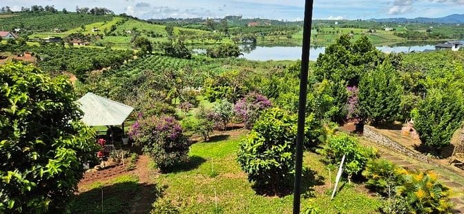 chính chủ cần bán gấp 6.000m2, khu du lịch sinh thái