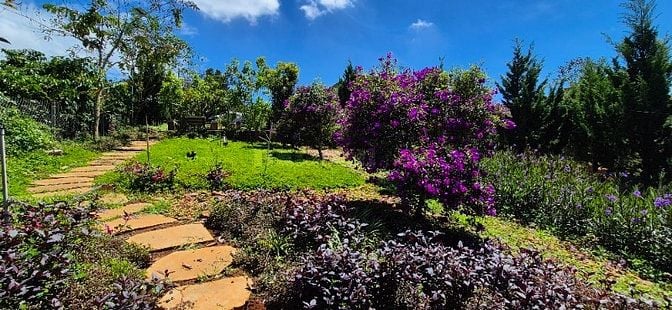 chính chủ cần bán gấp 6.000m2, khu du lịch sinh thái