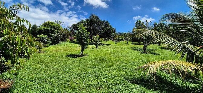 chính chủ cần bán gấp 6.000m2, khu du lịch sinh thái