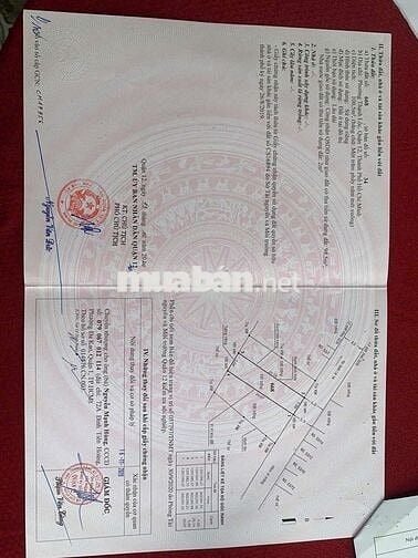 Đất MT đường thông 15 ra t lộc 14. Dt: 5x20=100m2, gần vườn Lài.