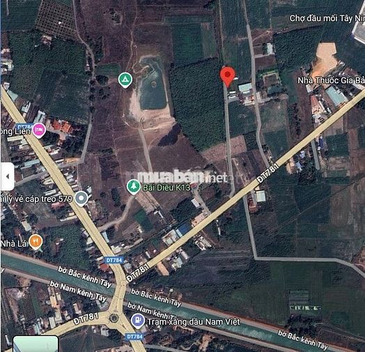 Bán đất thổ cư 100% gần chợ đầu mối Tây Ninh, đường quy hoạch lên nhựa