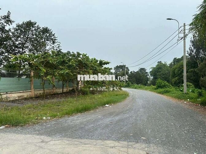 1000m2 đất khu dân cư giá 4 tỷ