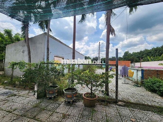 Chủ ngộp ngân hàng gửi bán lô đất tại Hưng Hoà, Bàu Bàng giá 4.5 tỷ