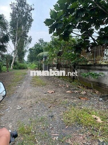1000m2 đất khu dân cư giá 4 tỷ