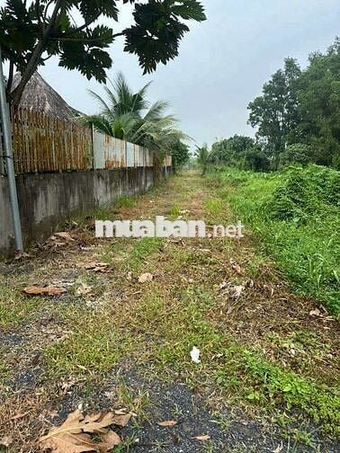 1000m2 đất khu dân cư giá 4 tỷ