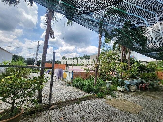 Chủ ngộp ngân hàng gửi bán lô đất tại Hưng Hoà, Bàu Bàng giá 4.5 tỷ