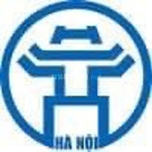 Muốn Cưới Vợ Cho Yên Bề Gia Thất Trong Năm Nay