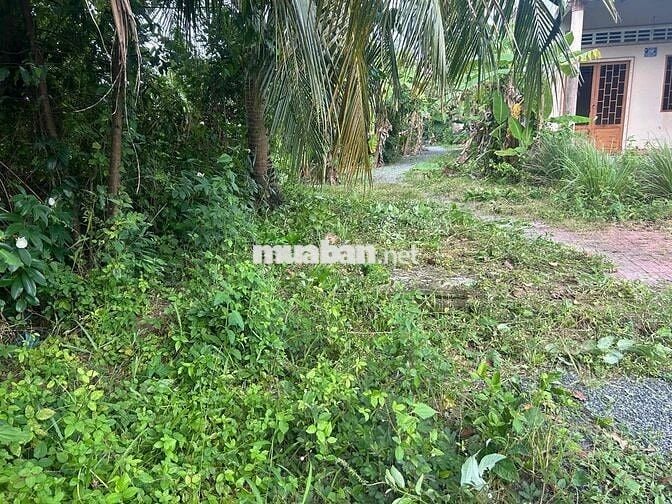 đất nền thuộc khu dân cư tân hội,dắt tiềm năng sinh lời cao