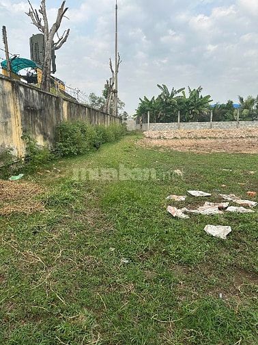 Bán đất rẻ Đức Lập Thượng 1425m2 .. cách Agribank hậu nghĩa 700m 