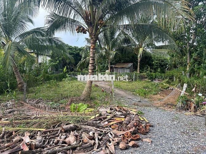 đất nền thuộc khu dân cư tân hội,dắt tiềm năng sinh lời cao