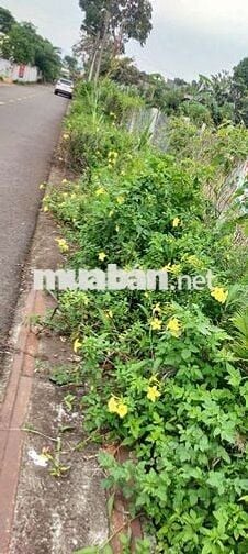 Cho thuê nhà cấp 4 hẻm Ô  TÔ  đường Llê lợi Vũng Tàu