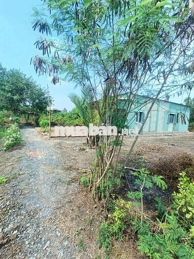 Cần bán đất thổ cư xã phước lại