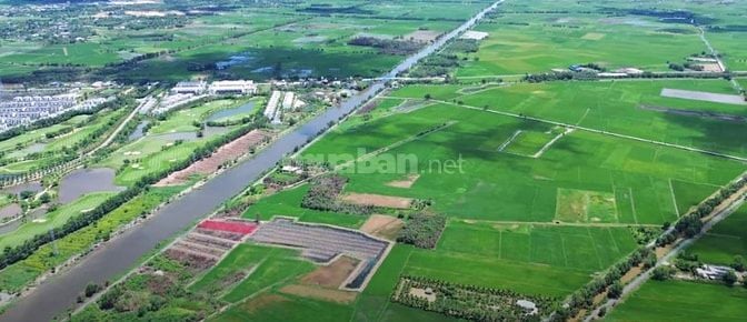 Bán đất mặt tiền Tam Tân, đối diện sân Golf Long An