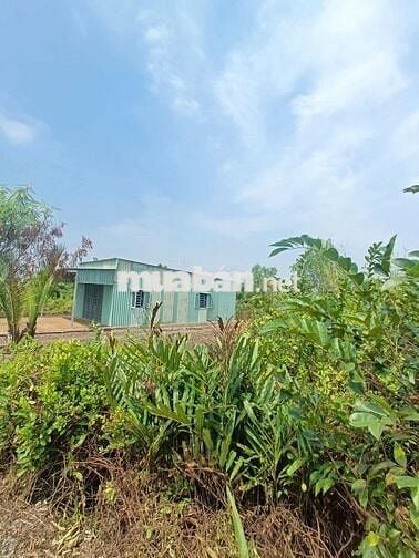 Cần bán đất thổ cư xã phước lại