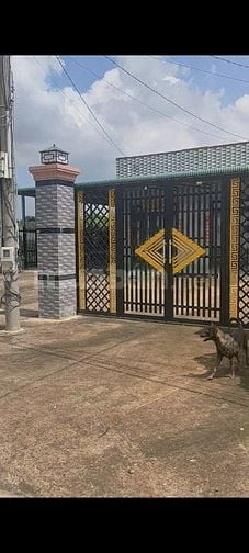 Bán thửa 247 tờ 32 Xuân Bảo.1 tỷ 3