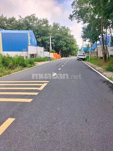 Cho thuê kho xưởng 7.000m2 , tại KCN Tân An , Long An , PCCC tự động 