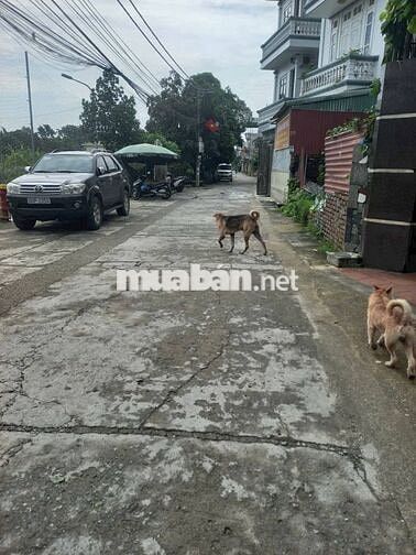 🌟 BÁN ĐẤT ĐẸP – THƯỢNG ĐÌNH, NHỊ KHÊ – OTO ĐỖ CỬA 🌟