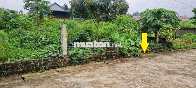 Chính chủ đứng tên sổ đỏ bán đất khu tái định cư sân Golf Sky Lake