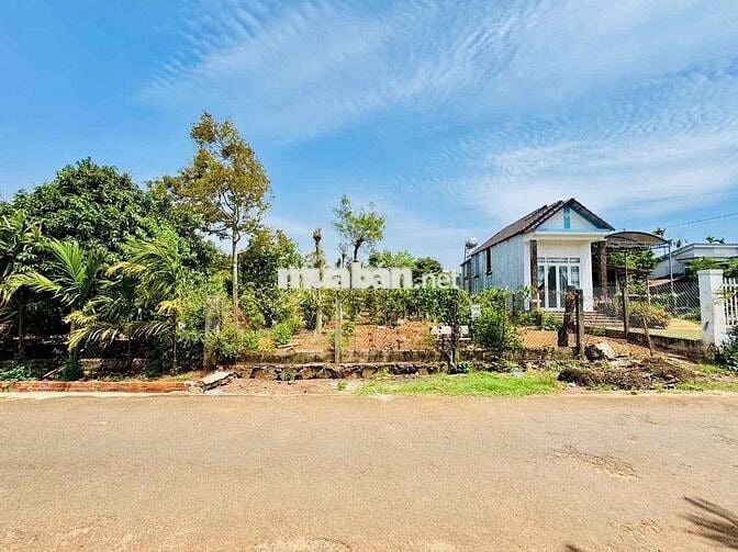 🎉🎉 CHÂN DÀI MẶT TIỀN ĐƯỜNG NHỰA 22B , HOÀ THUẬN, BMT