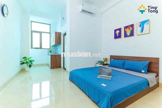 SIÊU PHẨM OTO ĐỖ CỬA VŨ TÔNG PHAN - BÙI XƯƠNG TRẠCH