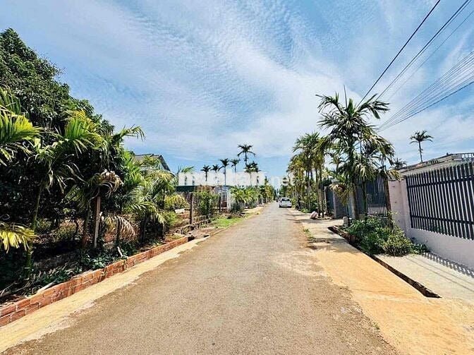 🎉🎉 CHÂN DÀI MẶT TIỀN ĐƯỜNG NHỰA 22B , HOÀ THUẬN, BMT