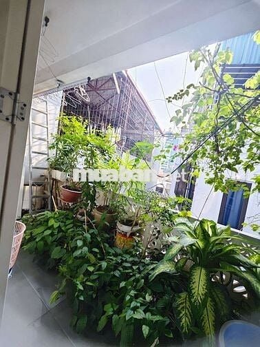 Lô góc, Dịch Vọng Hậu Cầu Giấy, ngõ thông, 39m2, mặt tiền 5.9m, 9.5 tỷ