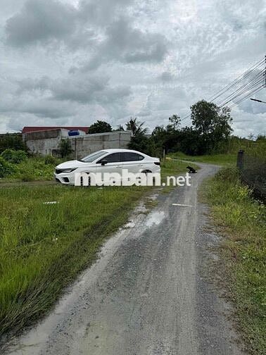 Bán lô đất 43x40m, 1/ Bàu sen, xe tải vô được, Đức Lập, Long An