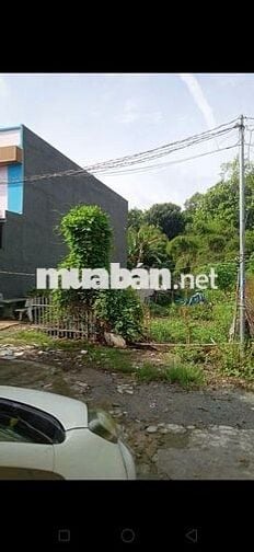 Sát TDM, hẻm 5m, đất vuông vức, kín dân, thoáng, mát, 1,86tỷ