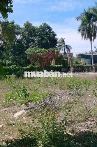 🍀🍀 Bán lô đất xã Vĩnh Trung- P.Tây Nha Trang.
- Diện tích : 72,6m2