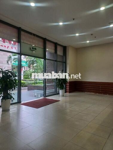 Chính chủ cần bán CH N07-B1 KĐT Dịch Vọng,149m2,4PN, 3WC, giá 13.49 tỷ