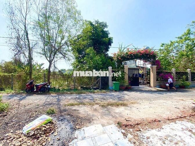 5x30- có 141 thổ cư. 620 triệu / đường bê tông ,phường gò dầu