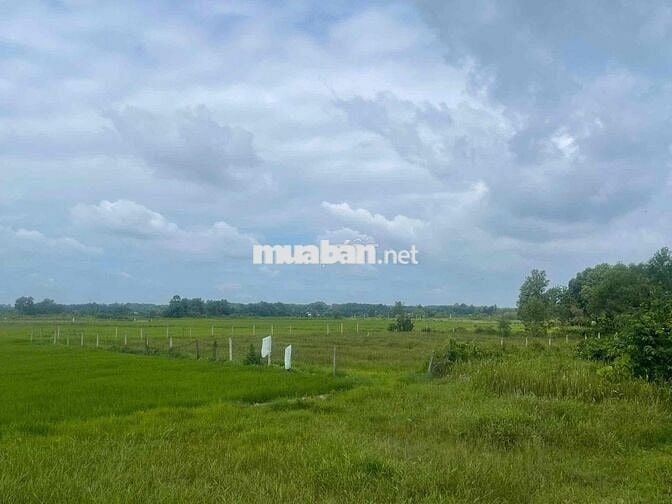 Đất mặt tiền sông Sài Gòn - Cảng Rạch Bắp