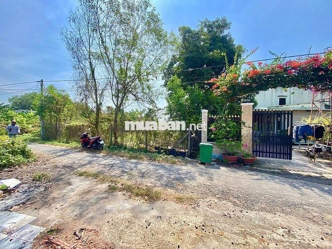 5x30- có 141 thổ cư. 620 triệu / đường bê tông ,phường gò dầu
