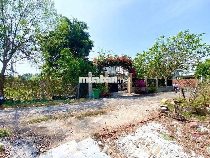 5x30- có 141 thổ cư. 620 triệu / đường bê tông ,phường gò dầu