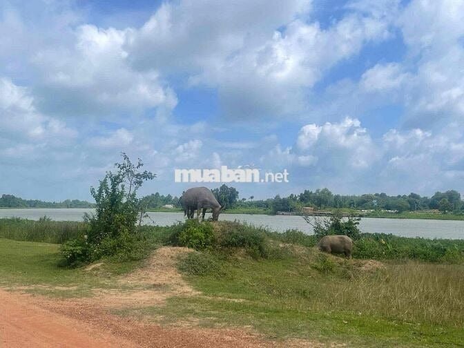 Đất mặt tiền sông Sài Gòn - Cảng Rạch Bắp