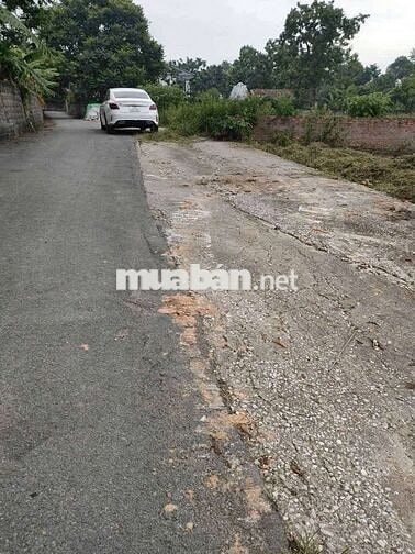 Bán Đất Chính chủ Tam Dương Vĩnh Phúc