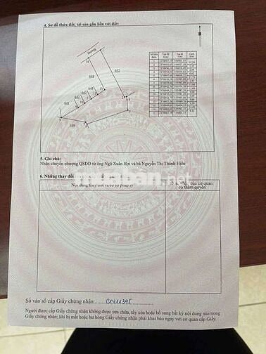 Bán Đất Chính chủ Tam Dương Vĩnh Phúc