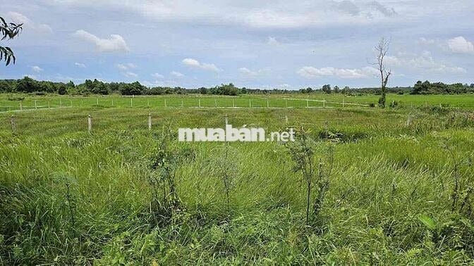 Đất mặt tiền sông Sài Gòn - Cảng Rạch Bắp