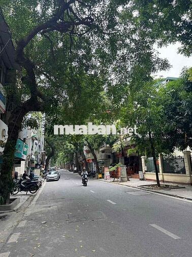 Cần bán gấp nhà phố Lý Nam Đế 25m  5 tầng 3.8mt  5.5 Tỷ Hoàn Kiếm Cần bán gấp nhà phố Lý Nam Đế 25m  5 tầng 3.8mt  5.5 Tỷ Hoàn Kiếm