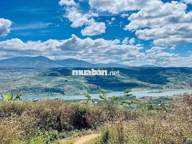 CHỦ GỬI BÁN LÔ ĐẤT CAFE & SẦU RIÊNG
Săn Mây -View Sông- Phong Thuỷ Tốt