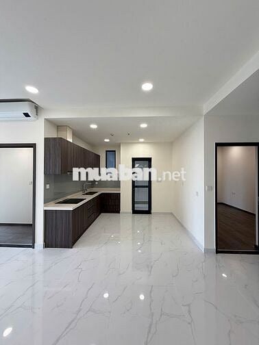 Cần cho thuê căn hộ cao cấp Diamond Centery - NTCB giá 18tr/ tháng