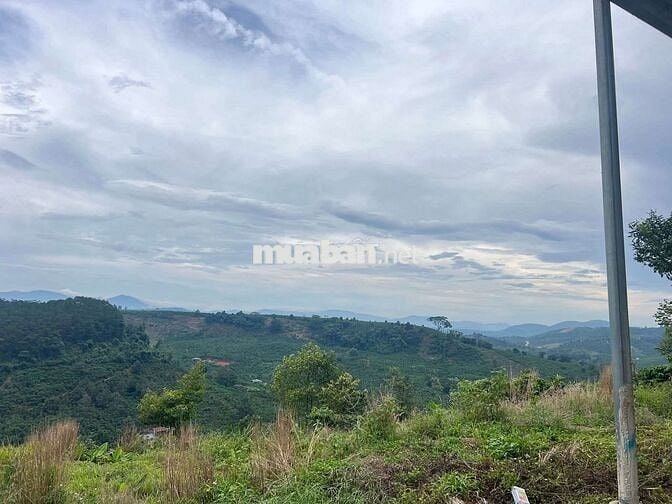 CHỦ GỬI BÁN LÔ ĐẤT CAFE & SẦU RIÊNG
Săn Mây -View Sông- Phong Thuỷ Tốt