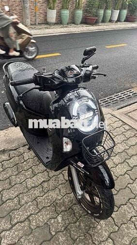 Scoopy 2025 style nhật pổn