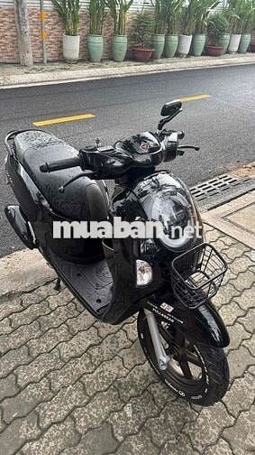 Scoopy 2025 style nhật pổn