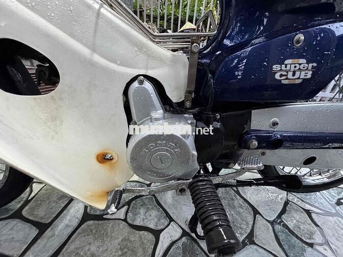 Cúp 82-70cc