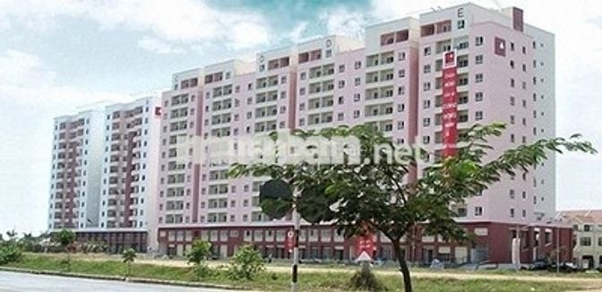 Cần cho thuê căn hộ chung cư Conic Đông Nam Á