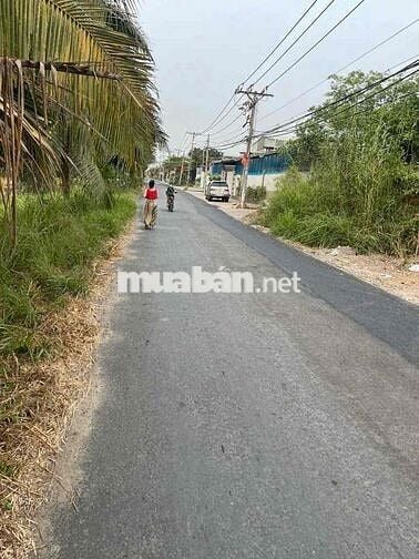 cho thuê kho xưởng mặt tiền Lê Minh Xuân