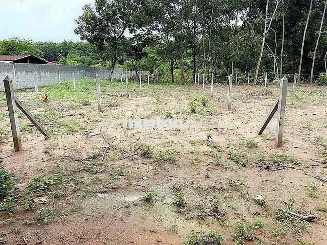 BÁN LÔ ĐẤT TRỤC ĐƯỜNG CHÍNH PHÚ AN, BẾN CÁT, BÌNH DƯƠNG ( HCM )